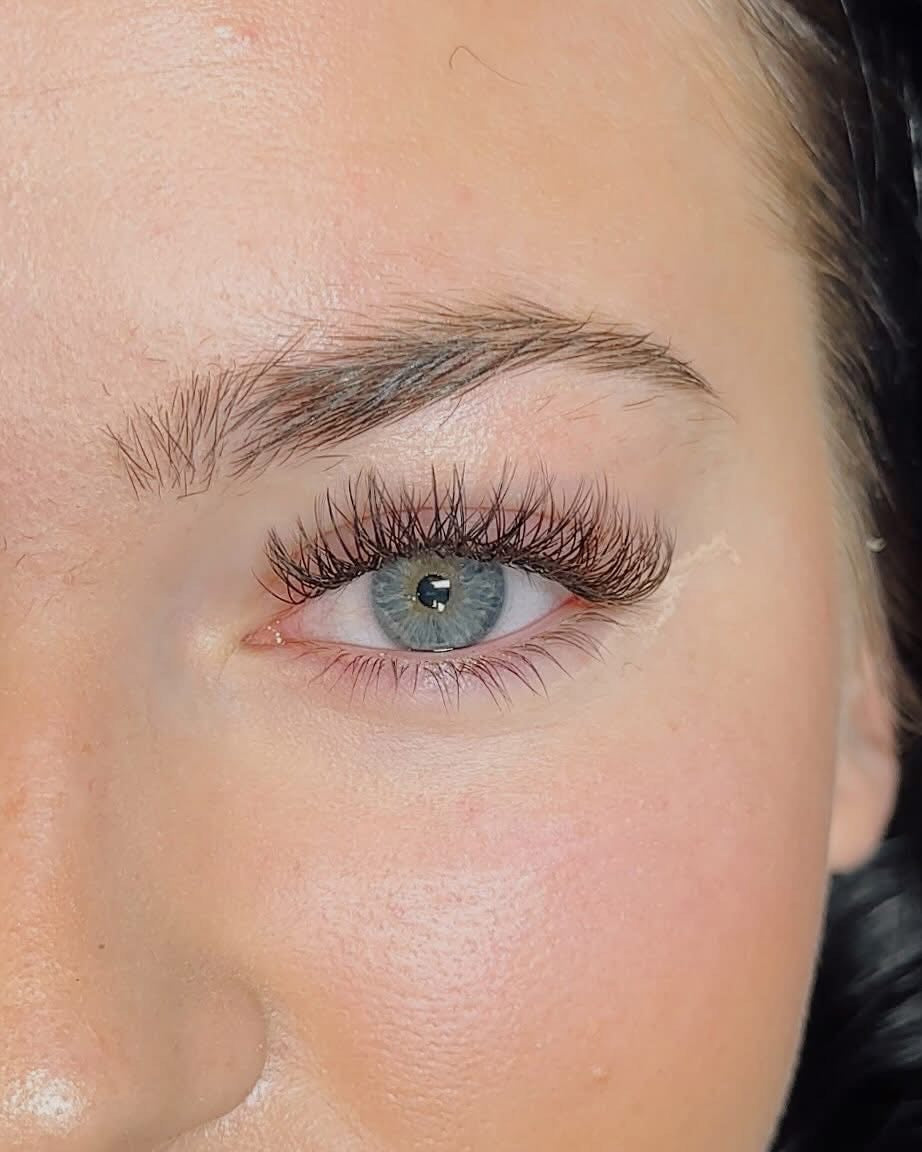 EndureLash® Brown Lashes in Endure Honey, Endure Maple &amp; Endure Café